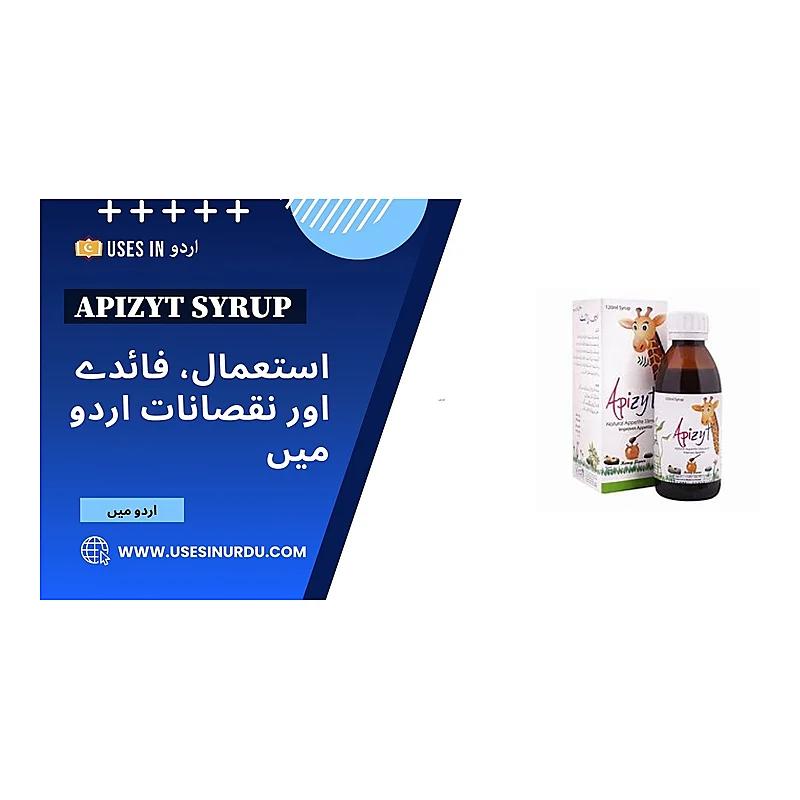 Apizyt (120Ml) Syrup