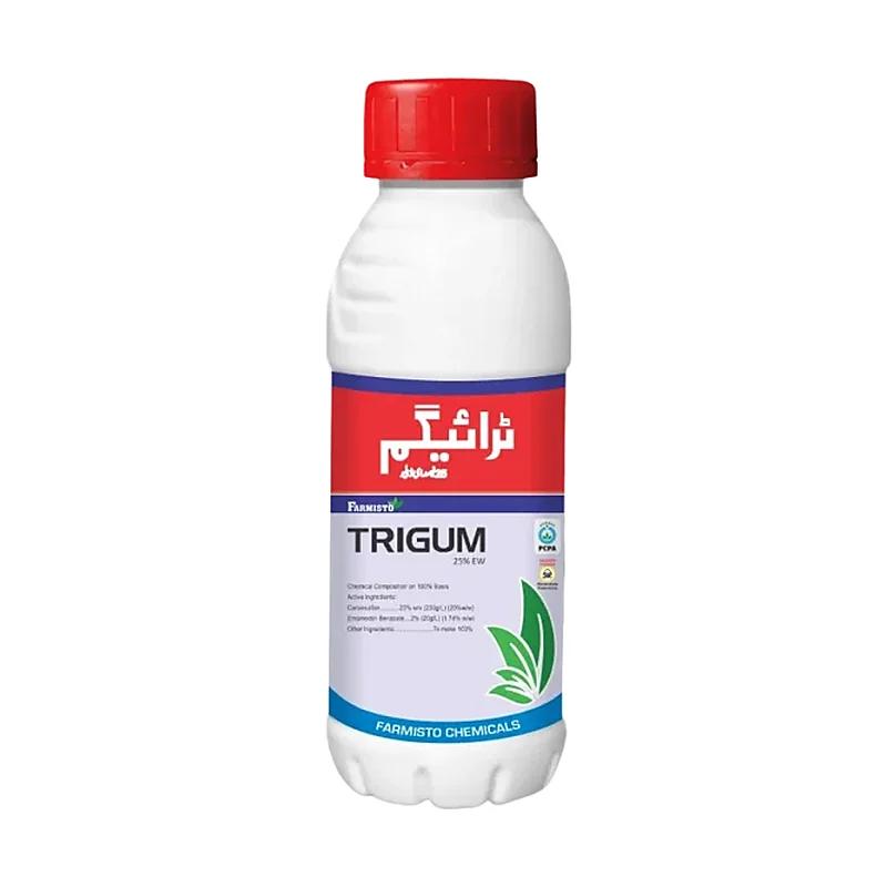 Trigum Buuble (All)
