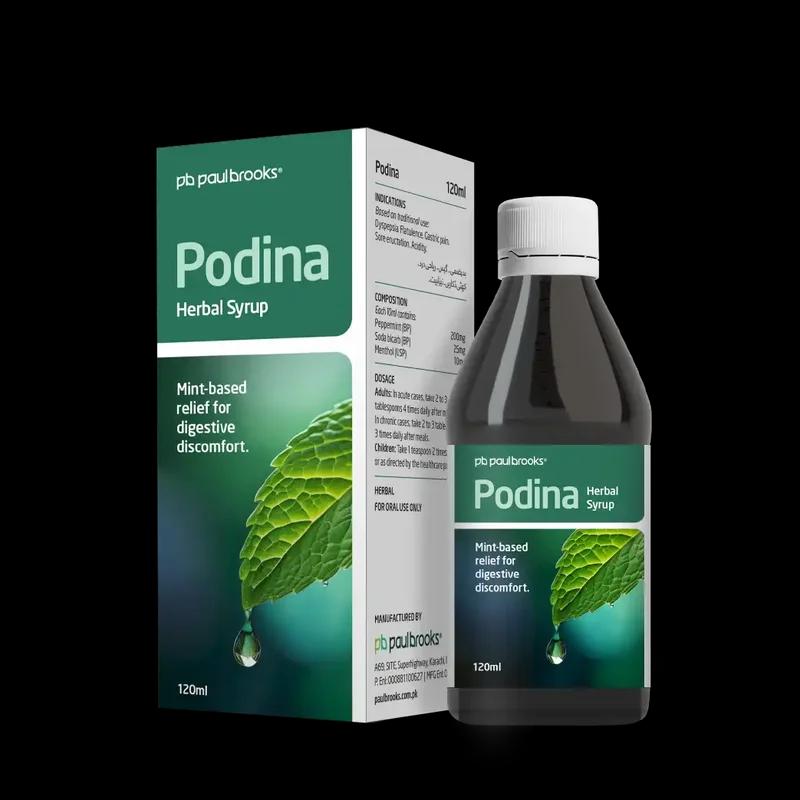 Adrak Podina Syrup 120Ml