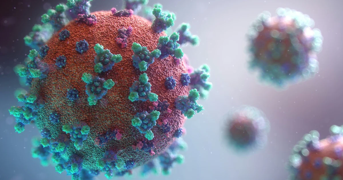 Dengue Fever Warning Signs: Platelet Counts, Hydration & When to Hospitalize