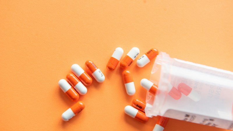Panadol CF vs Panadol Extra vs Calpol