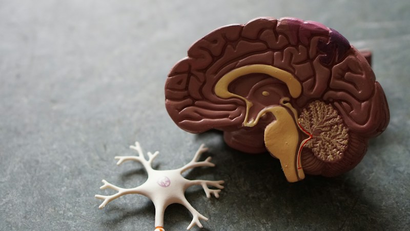 Neurobion Tablets vs Injections: Vitamin B12 & Nerve Health Guide